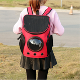 Cat Transport Backpack - Save 50% Today