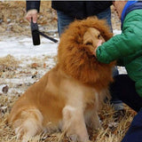Lion Mane Costume for Dogs