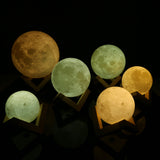 Selena™ - The Authentic 3D Moon Nightlight Lamp