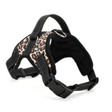 Sturdy Dog Harness