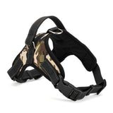 Sturdy Dog Harness